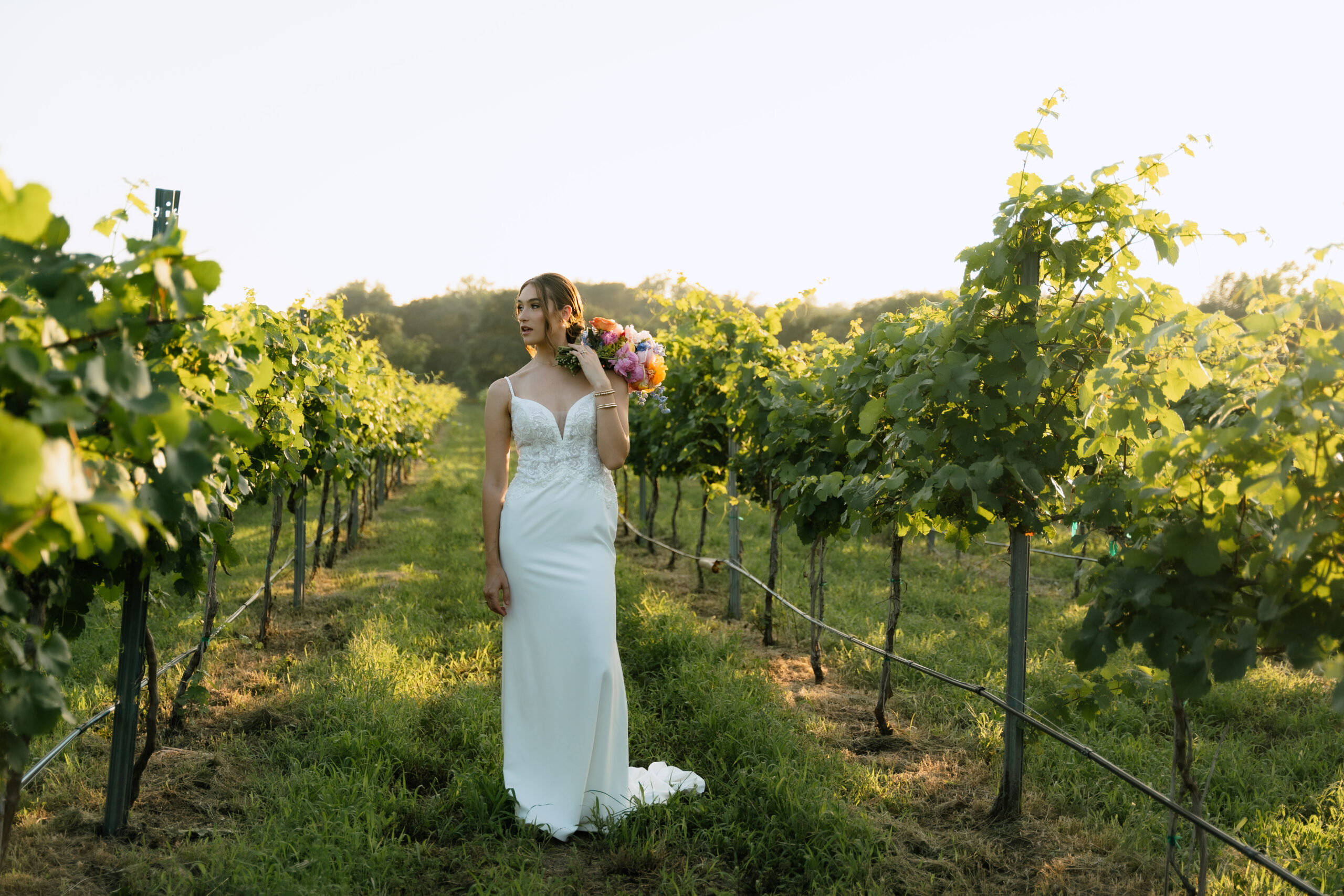 Carter Creek Vineyard & Resort Wedding Venue in Johnson City, Texas