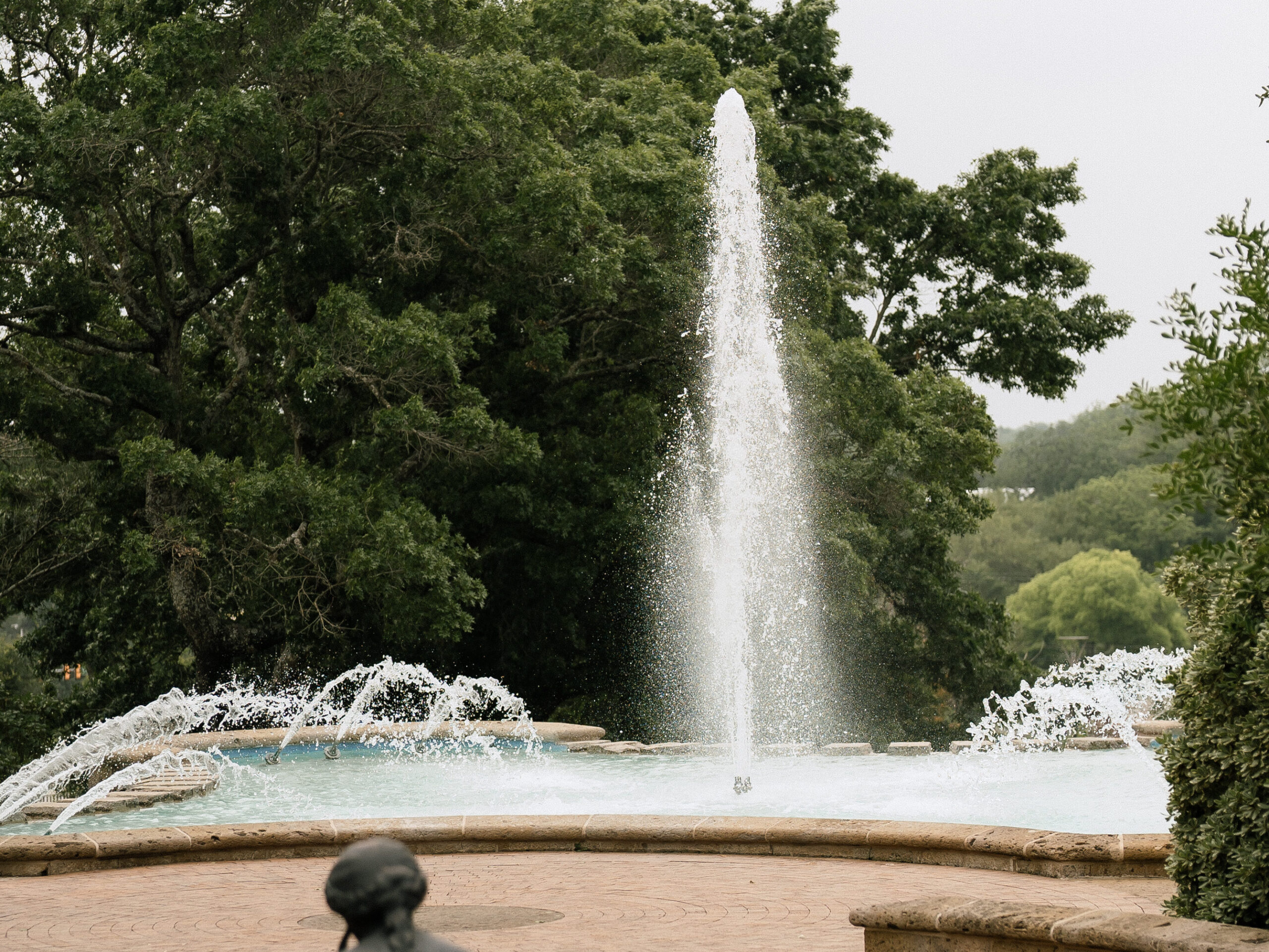 Museum Microwedding at the Mcnay Art Museum 