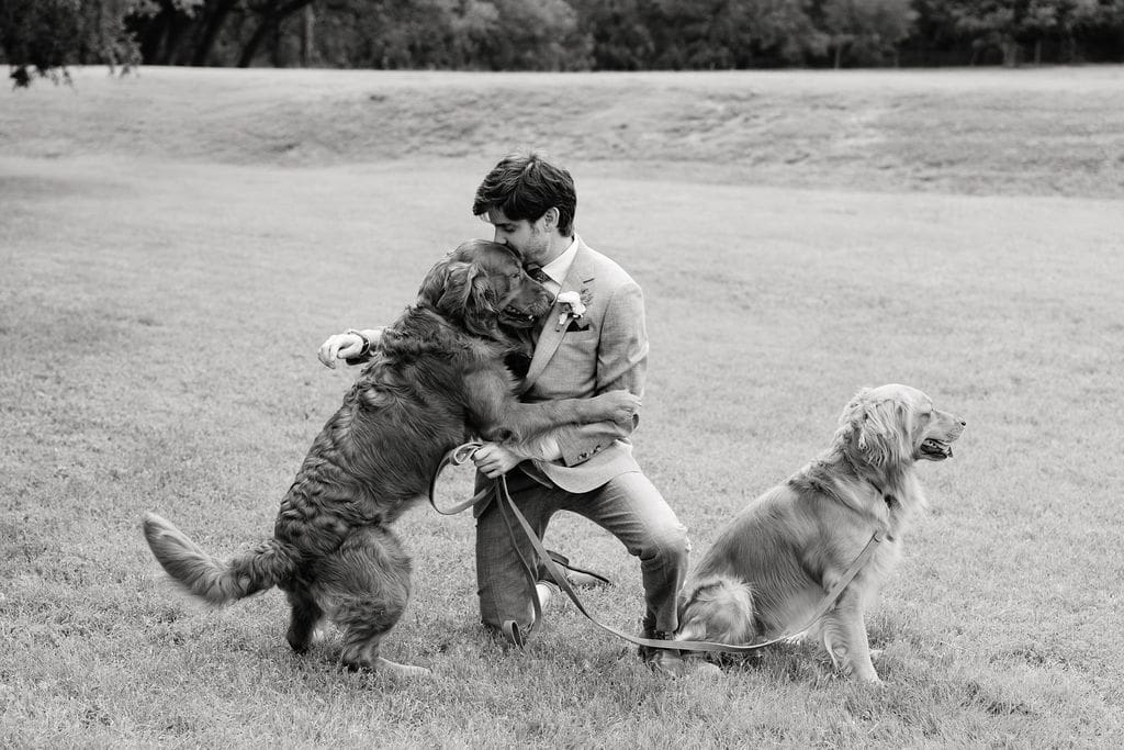 Golden retriever of Dana and Jack at their Addison Grove wedding venue in Austin