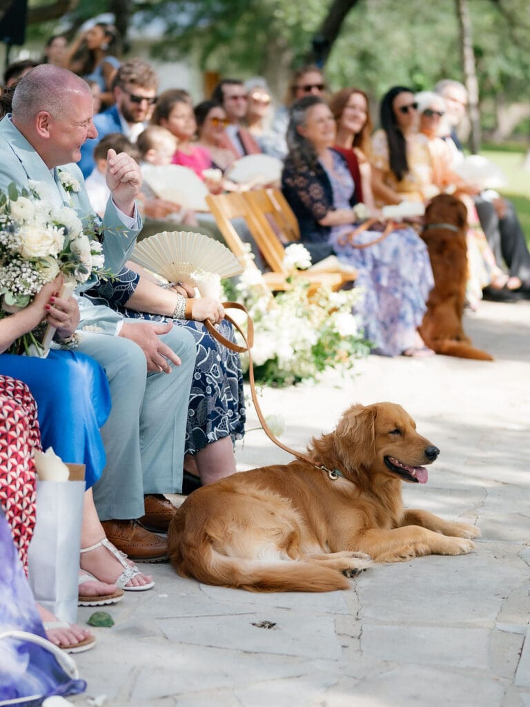 Wedding guests watching the ceremony at a Texas Hill Country venue